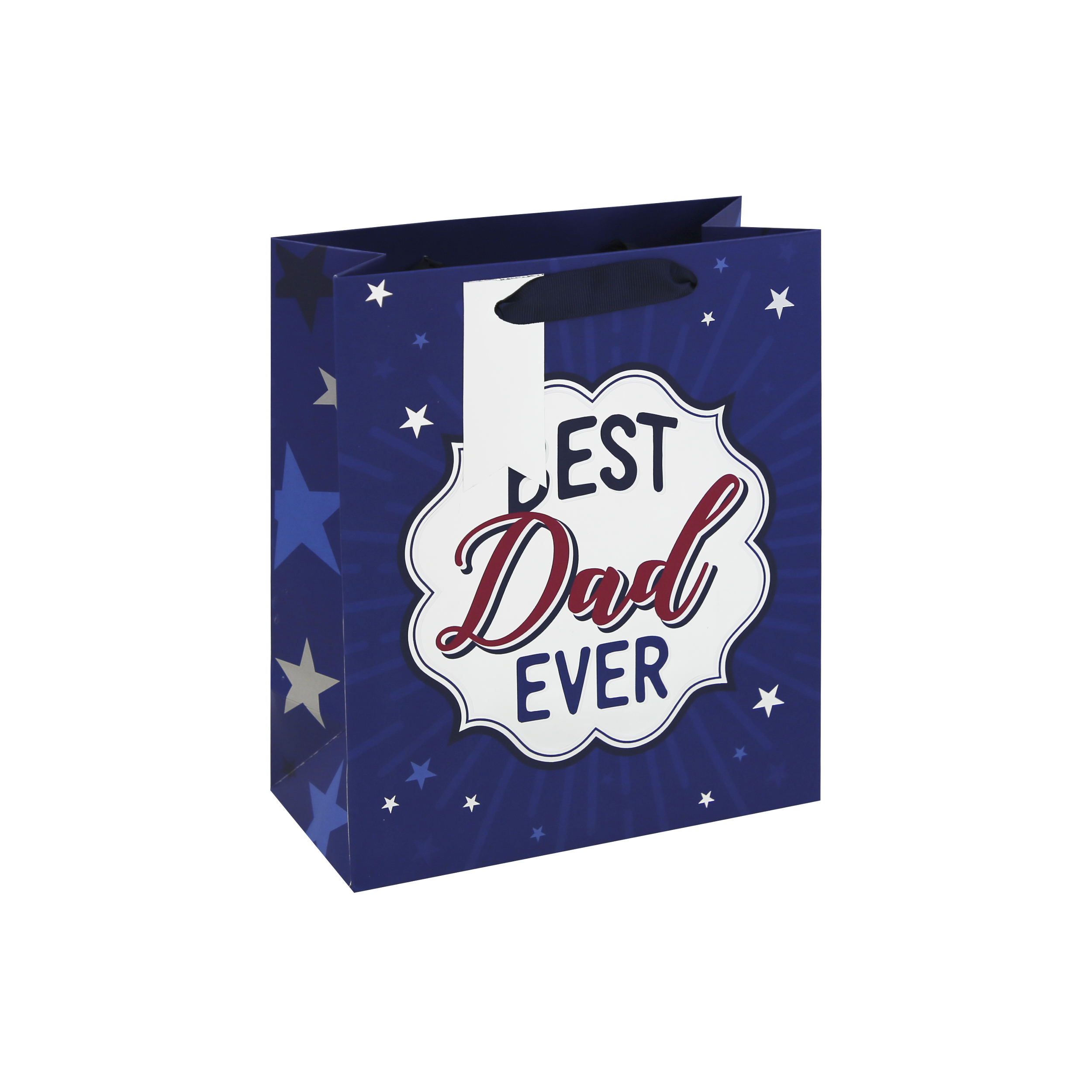 Eurowrap 12 Pack Gift Bag Best Dad Ever Medium
