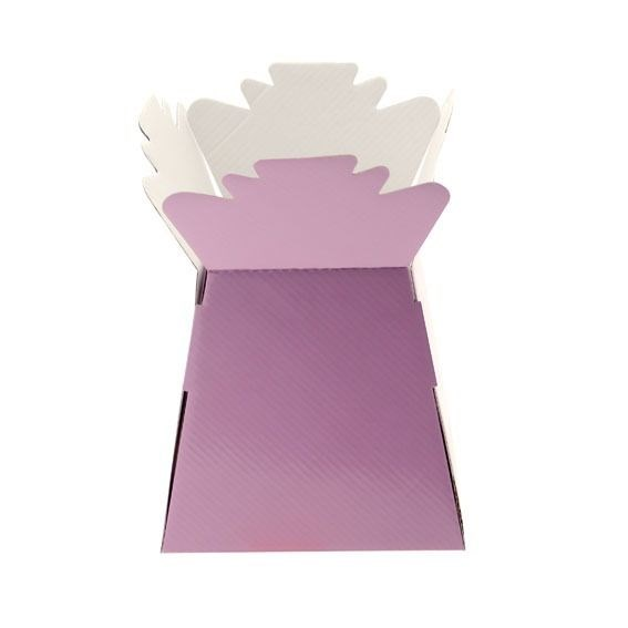 Lavender Living Vase Display Box 17.5cm x 24.5cm