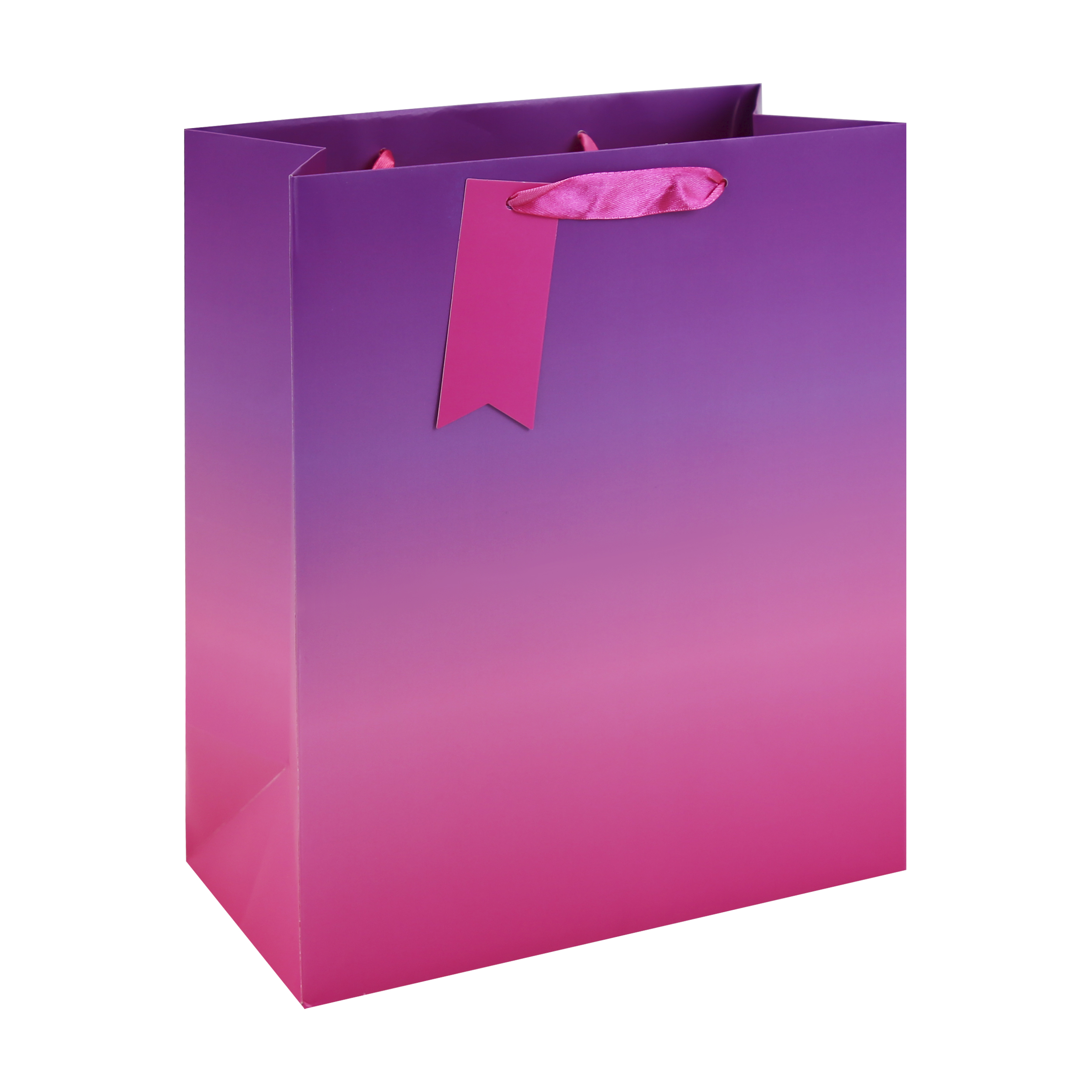 Eurowrap 6 Pack Gift Bag Pink Ombre Large