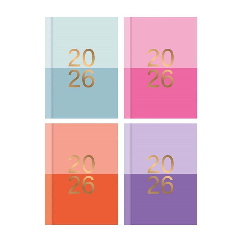 Diary Pocket WTV Trend Assorted 2027 24pk