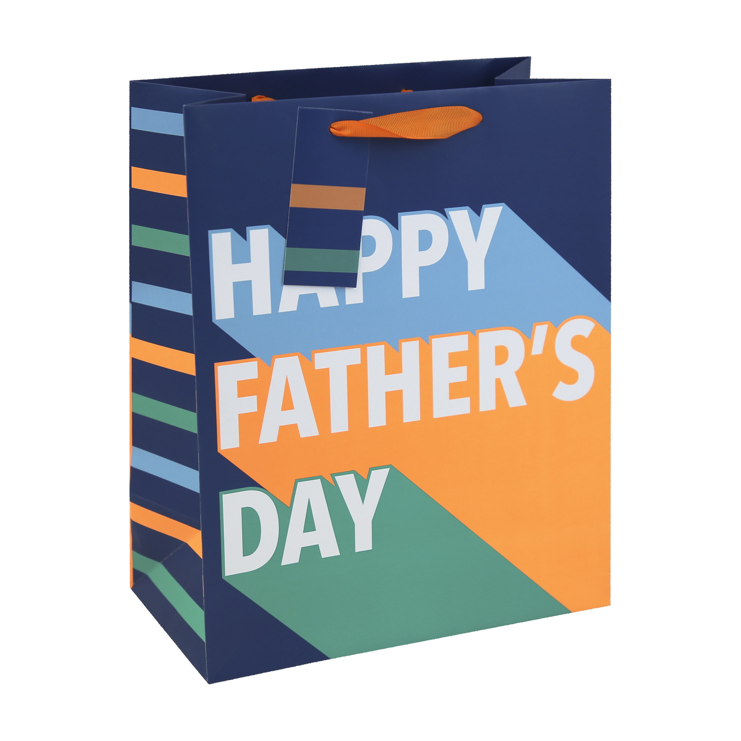 Eurowrap 12 Pack Gift Bag Trend Father's Day Large