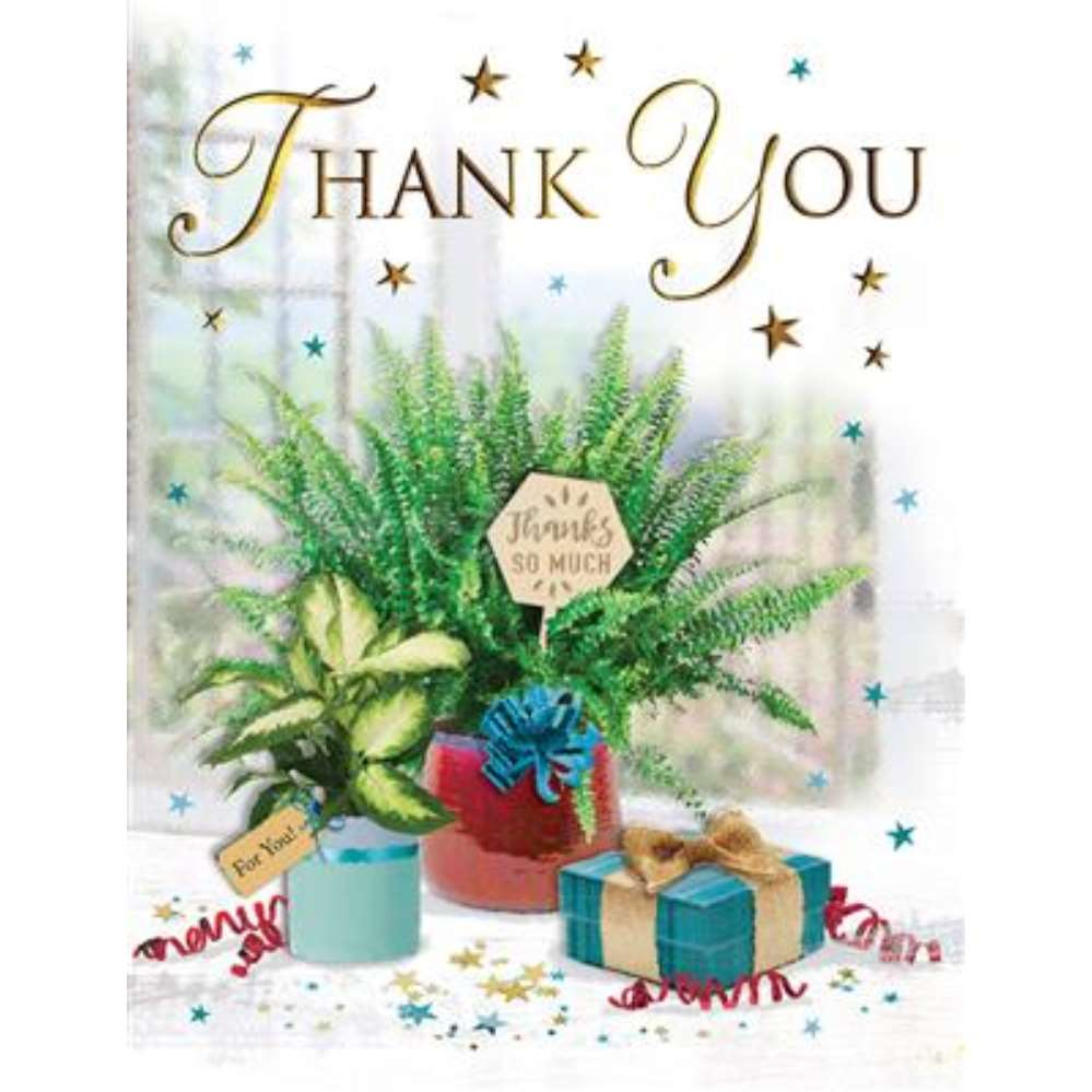 Regal 6 Pack Cards C50 Everyday Thank You