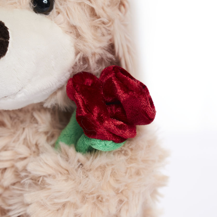 Tiger Feet Soft Toy Bear With Rose Cream 25cm