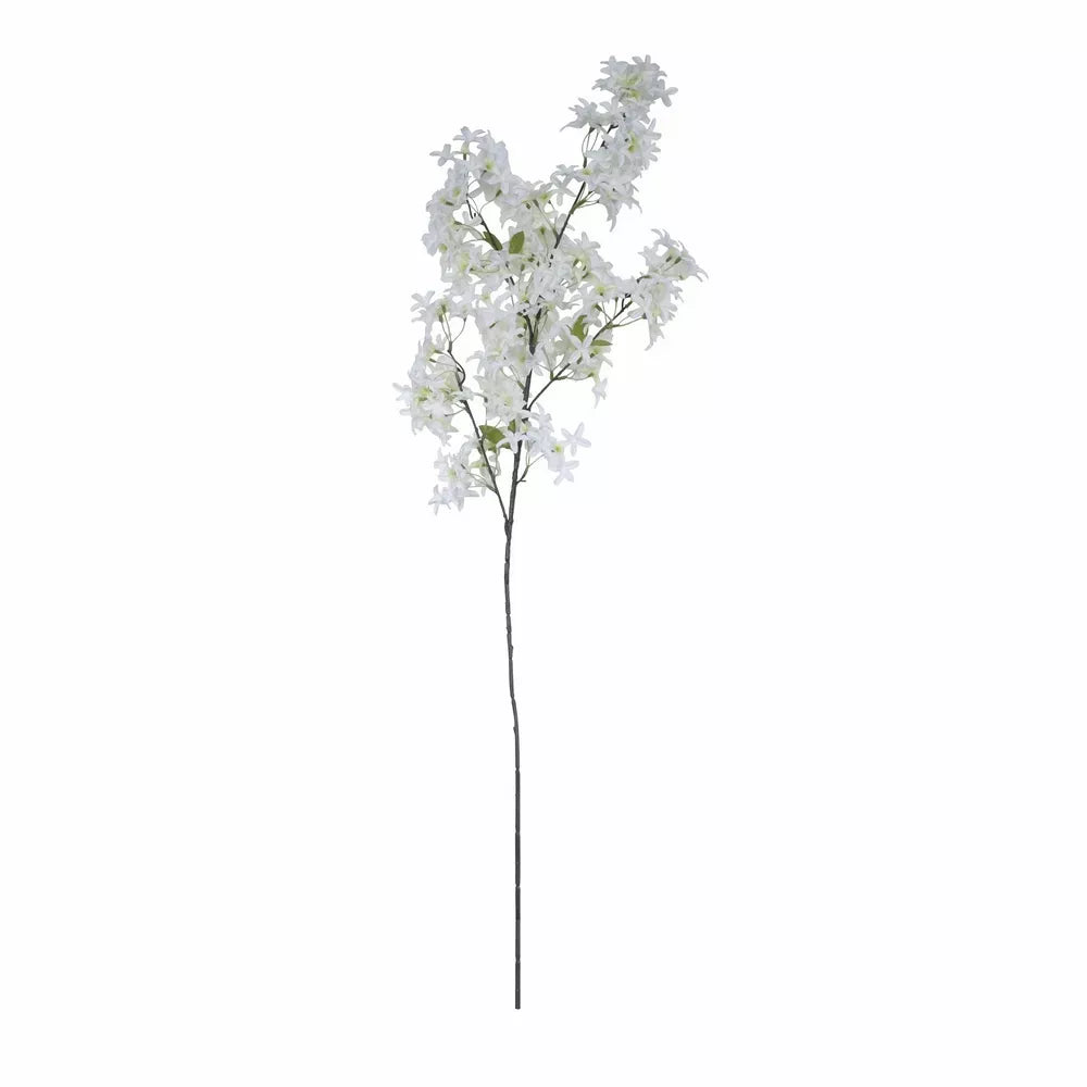 Jasmine Flower White