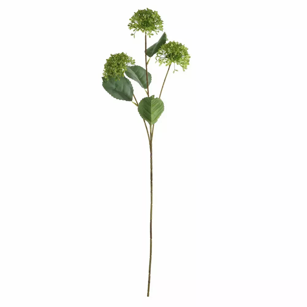 Viburnum Spray Green