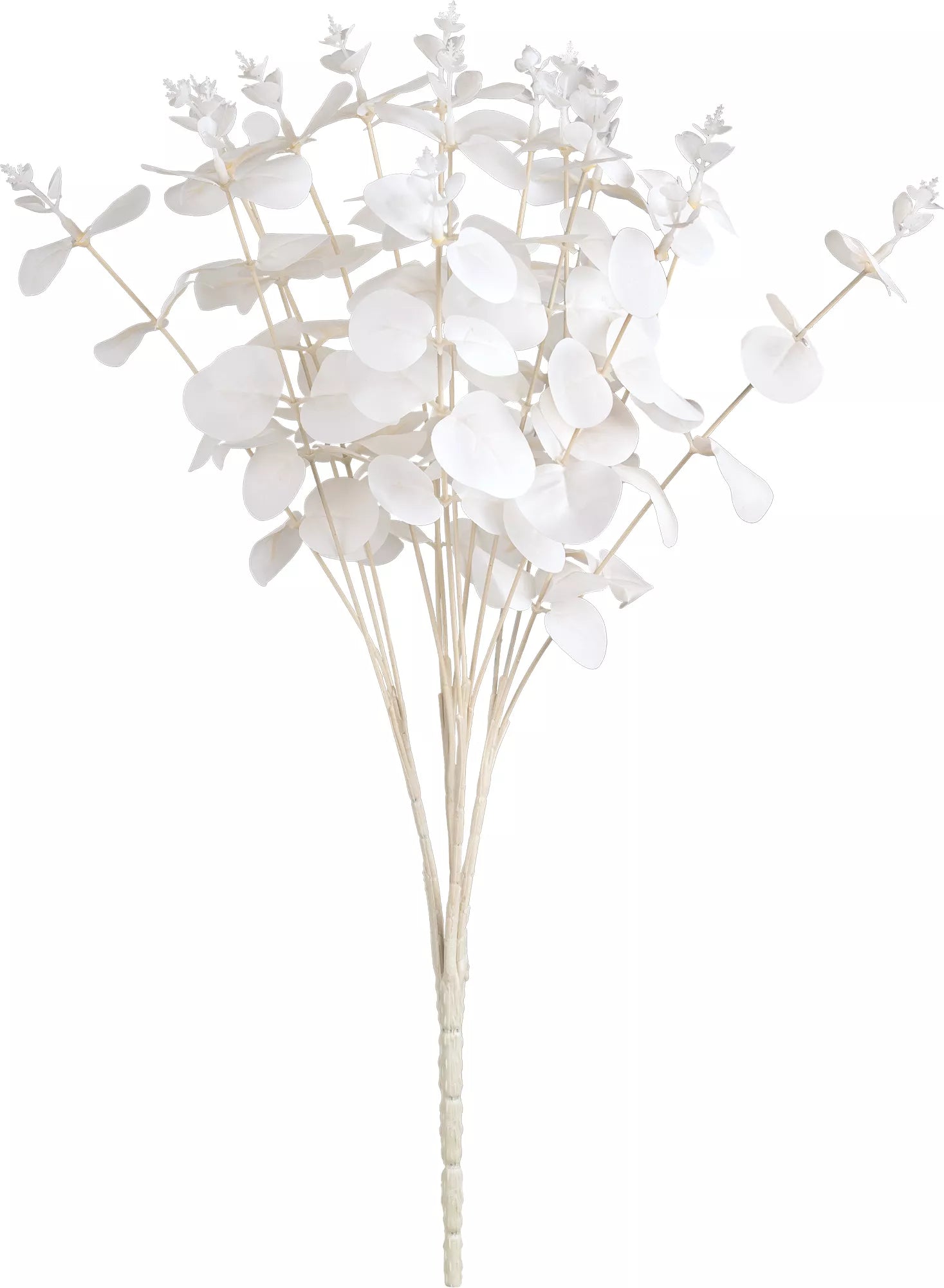 Eleganza Eucalyptus Bush White