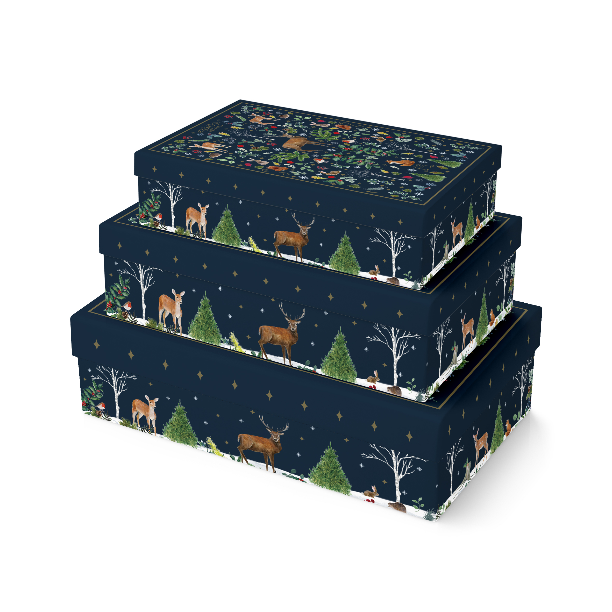 Eurowrap Gift Box 3pc Navy Woodland