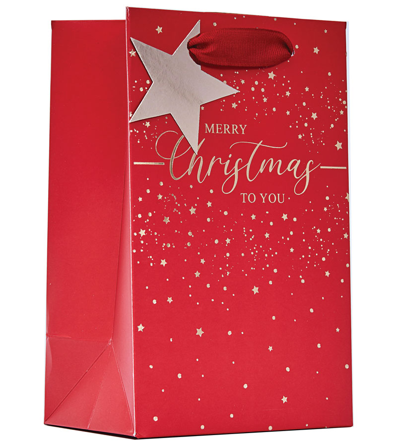 Partisan 6 Pack Gift Bag Merry Xmas Small