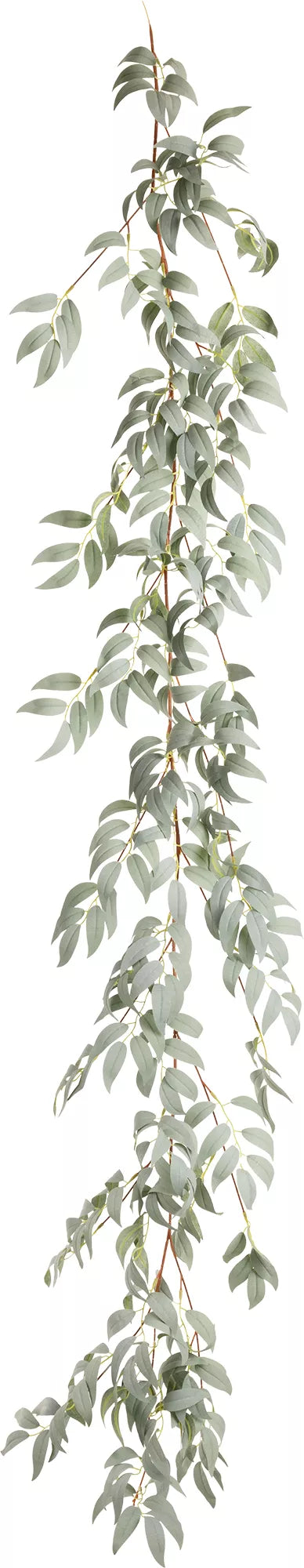 Eleganza Ruscus Garland Grey/Green 1.7m