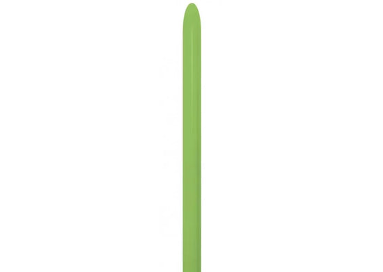 Sempertex 80 Pack Nozzle Up Lime Green 160