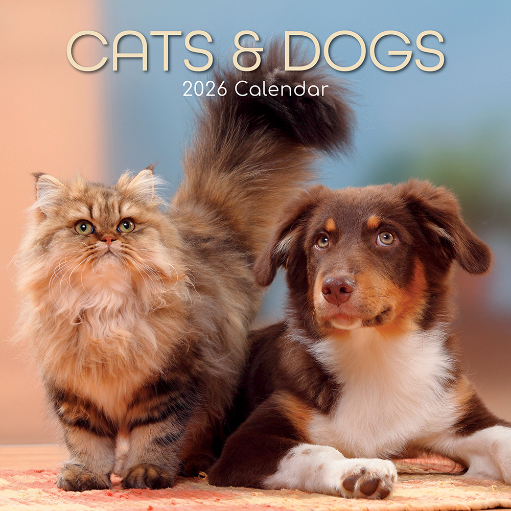 Gifted Stationery Calendar Cats & Dogs 2027