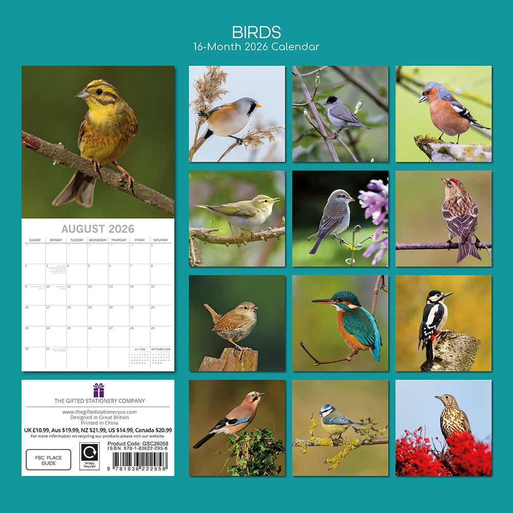 Gifted Stationery Calendar Birds 2027