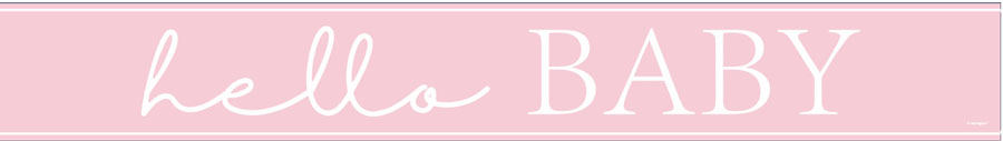 Unique Banner Hello Baby Pink 9ft