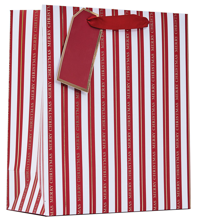 Partisan 6 Pack Gift Bag Christmas Stripe Medium