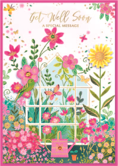 Isabel's Garden 6 Pack Cards C50 Get Well