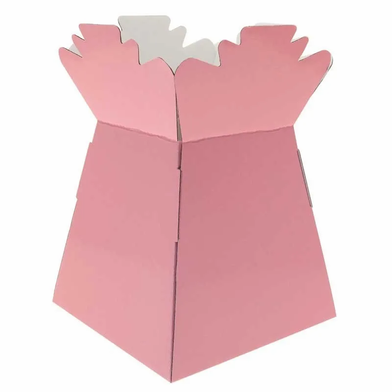 Pink Living Vase Display Box 17.5cm x 24.5cm