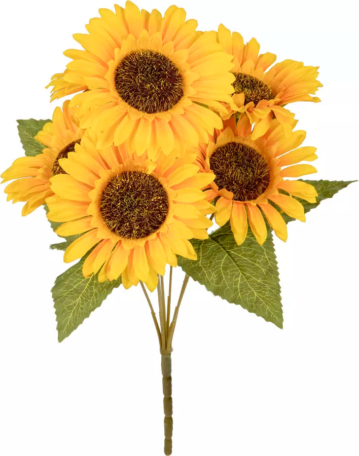 Eleganza Sunflower Bush