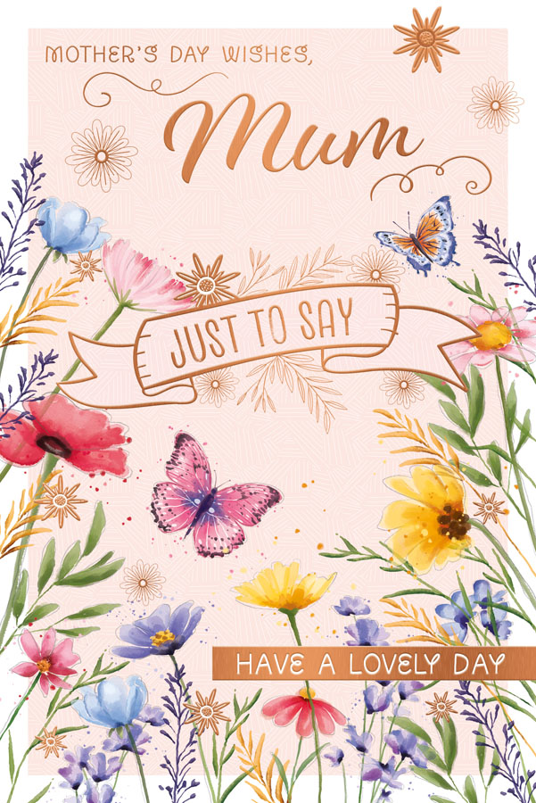 Prelude C75 Mother's Day Mum 6pk