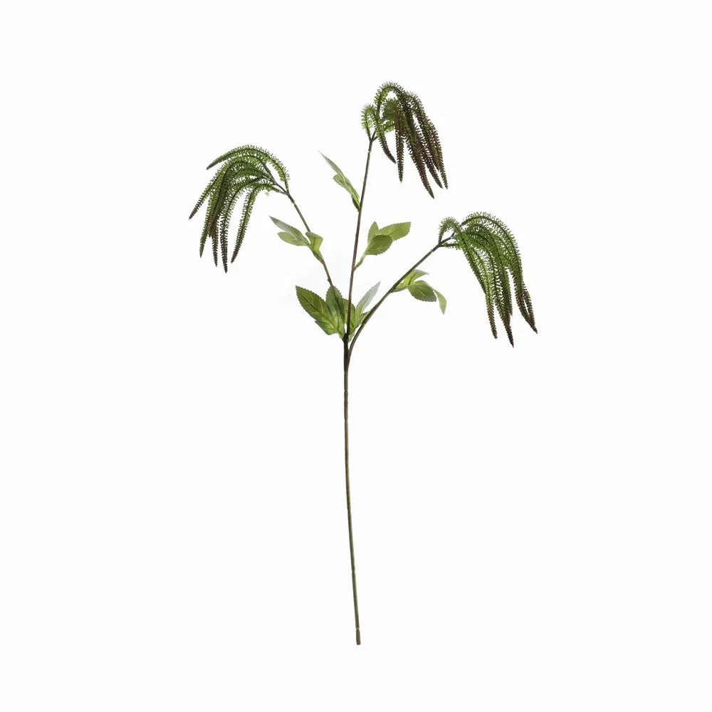 Catkin Spray Green