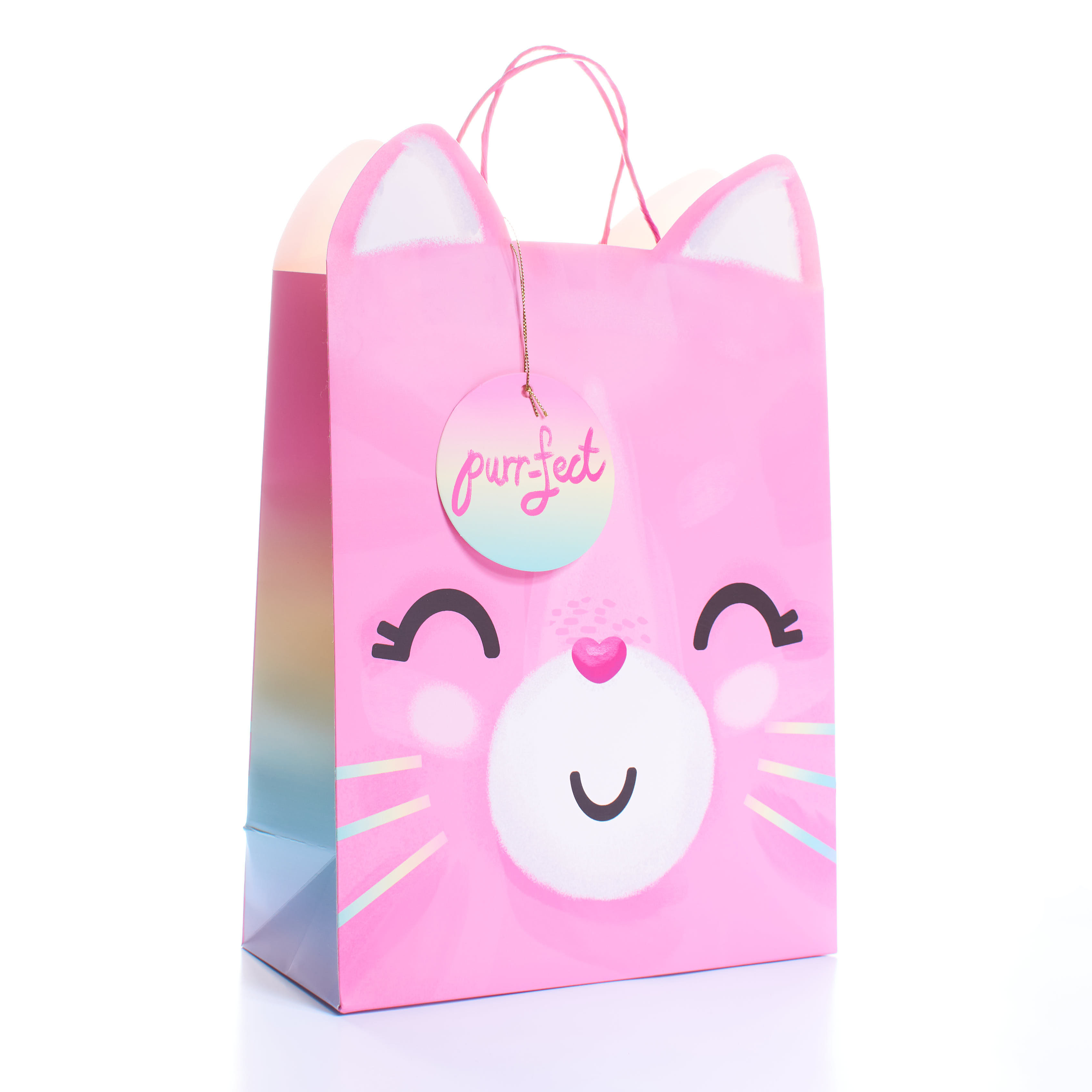 Tiger Feet 6 Pack Gift Bag Cat Large