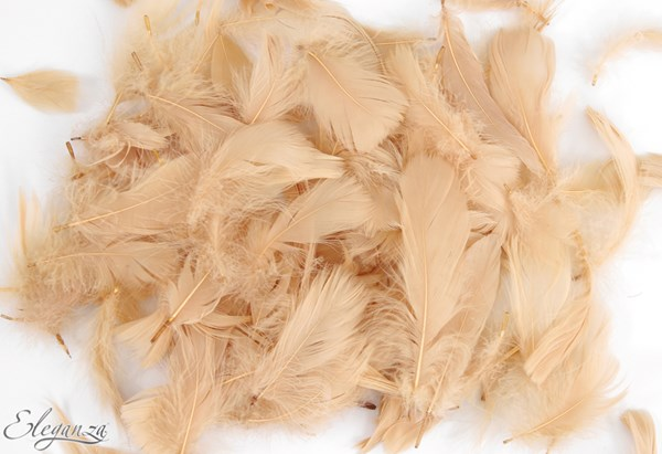 Eleganza Blush Mixed Feathers 50g