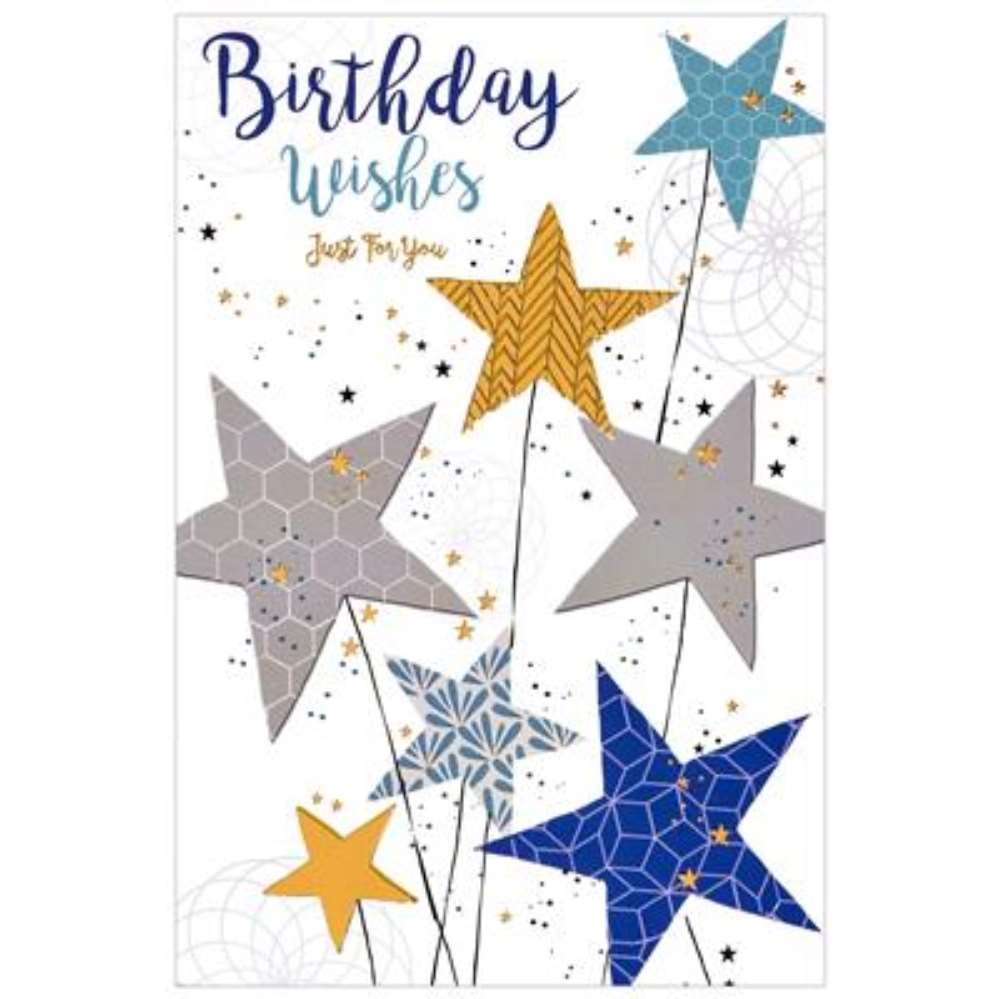 Simon Elvin 6 Pack Cards C50 Everyday Birthday