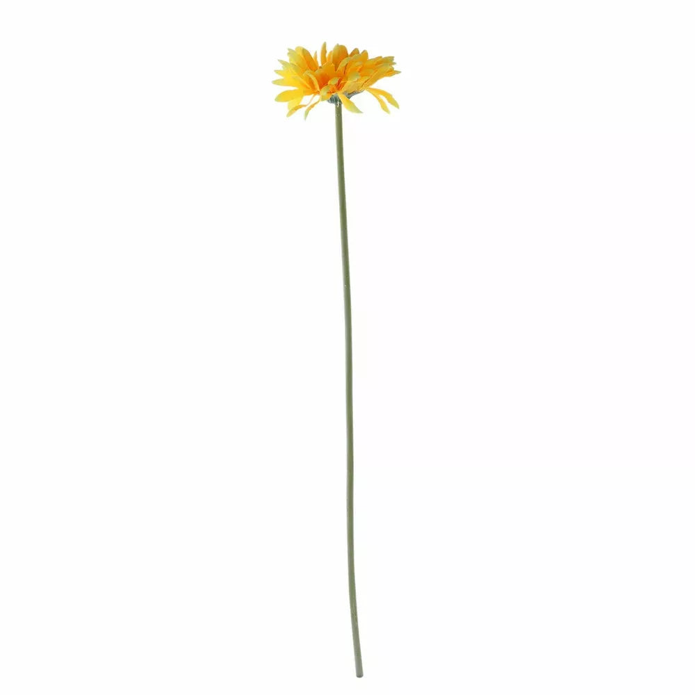 Gerbera Yellow