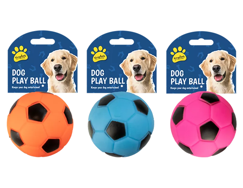 Dog Play Ball