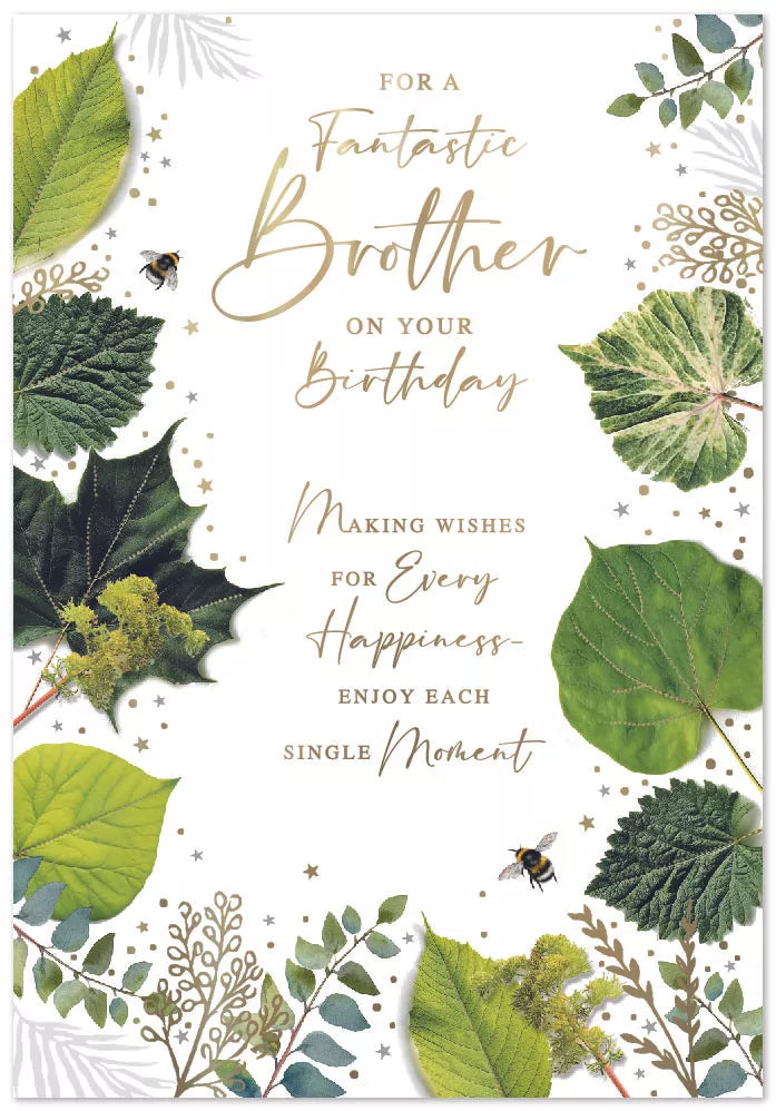 Simon Elvin C90 Birthday Brother 6pk