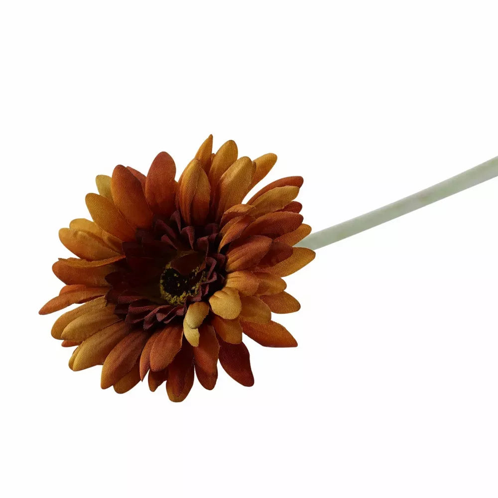 Gerbera Burnt Gold