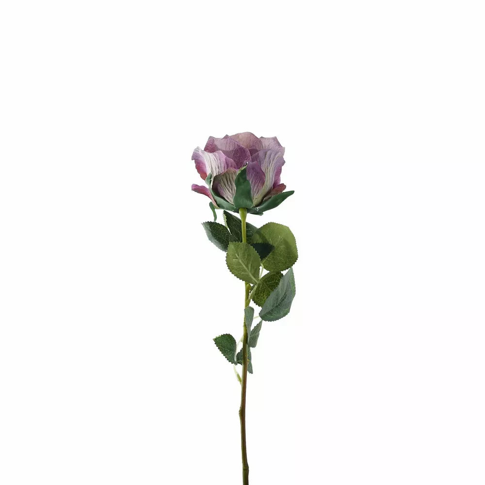 Garden Rose Vintage Lilac