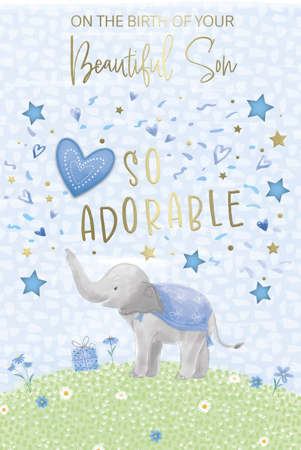 Prelude 6 Pack Cards C75 Everyday New Born Cute