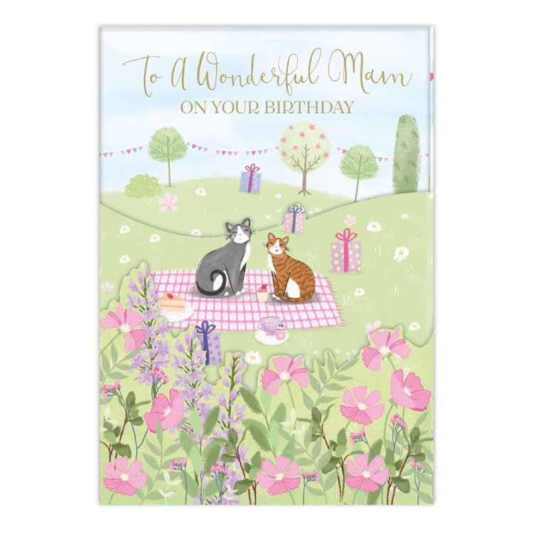 Prelude C90 Birthday Mam 6pk