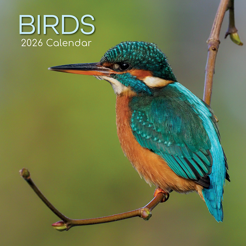 Gifted Stationery Calendar Birds 2027