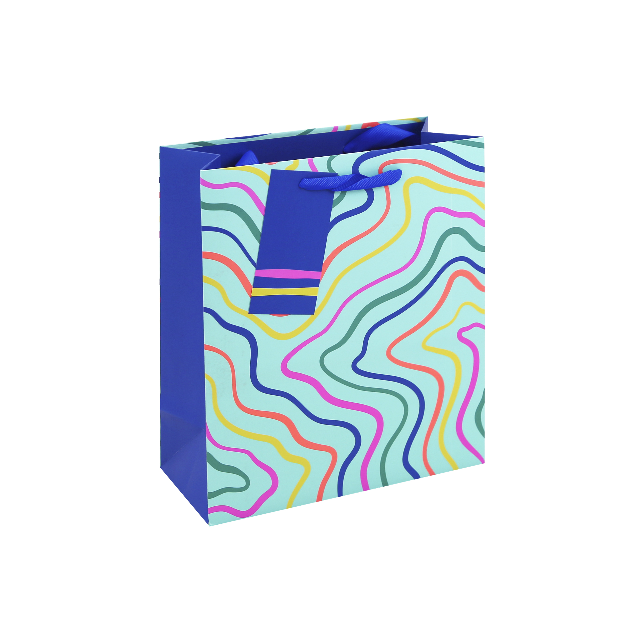 Eurowrap 6 Pack Gift Bag Neon Wave Medium
