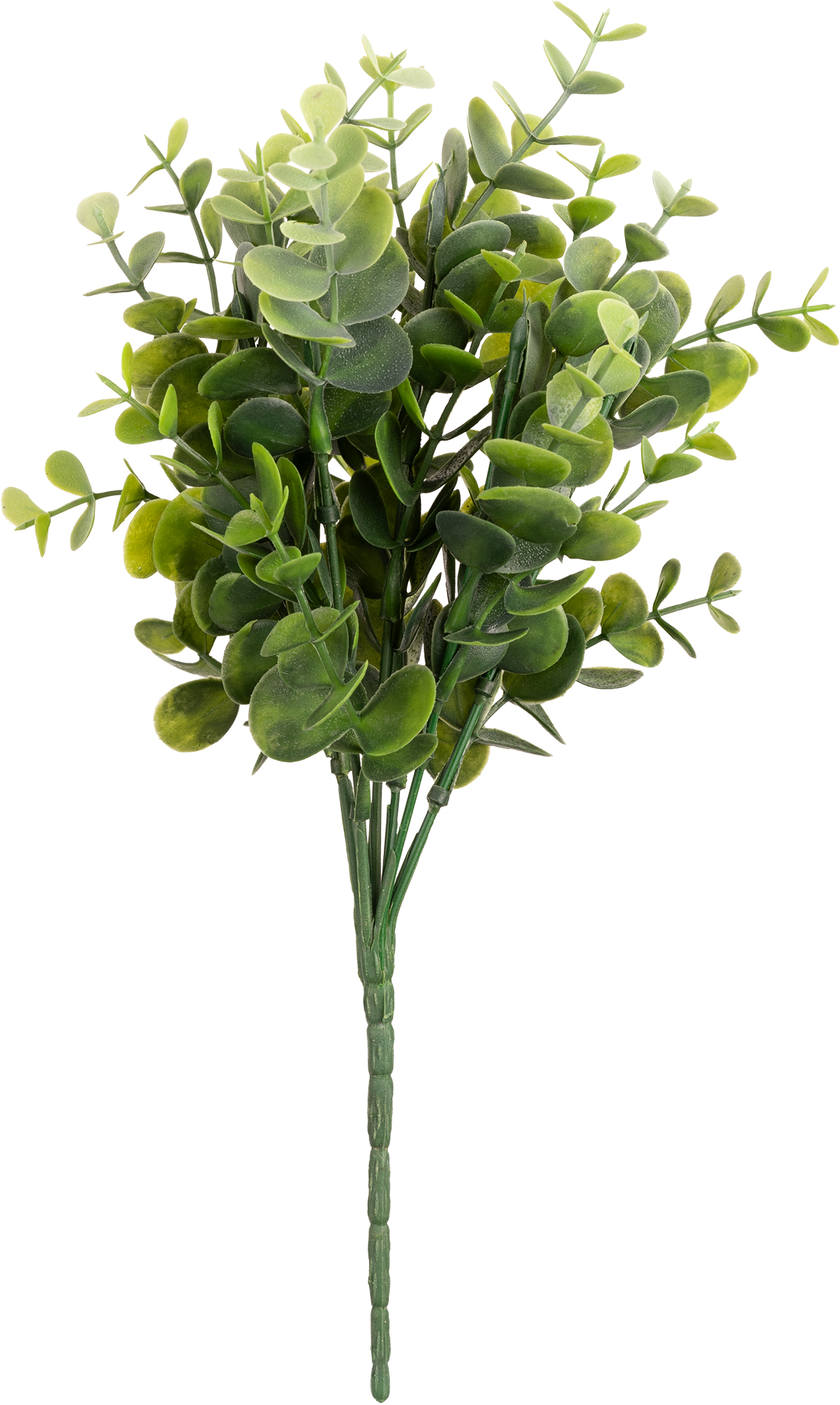 Eleganza Eucalyptus Bush Olive Green