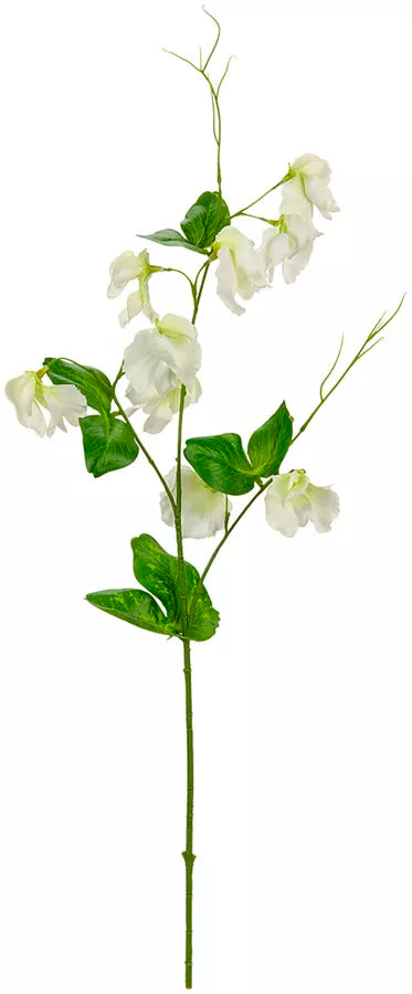 Eleganza Sweet Pea Spray White