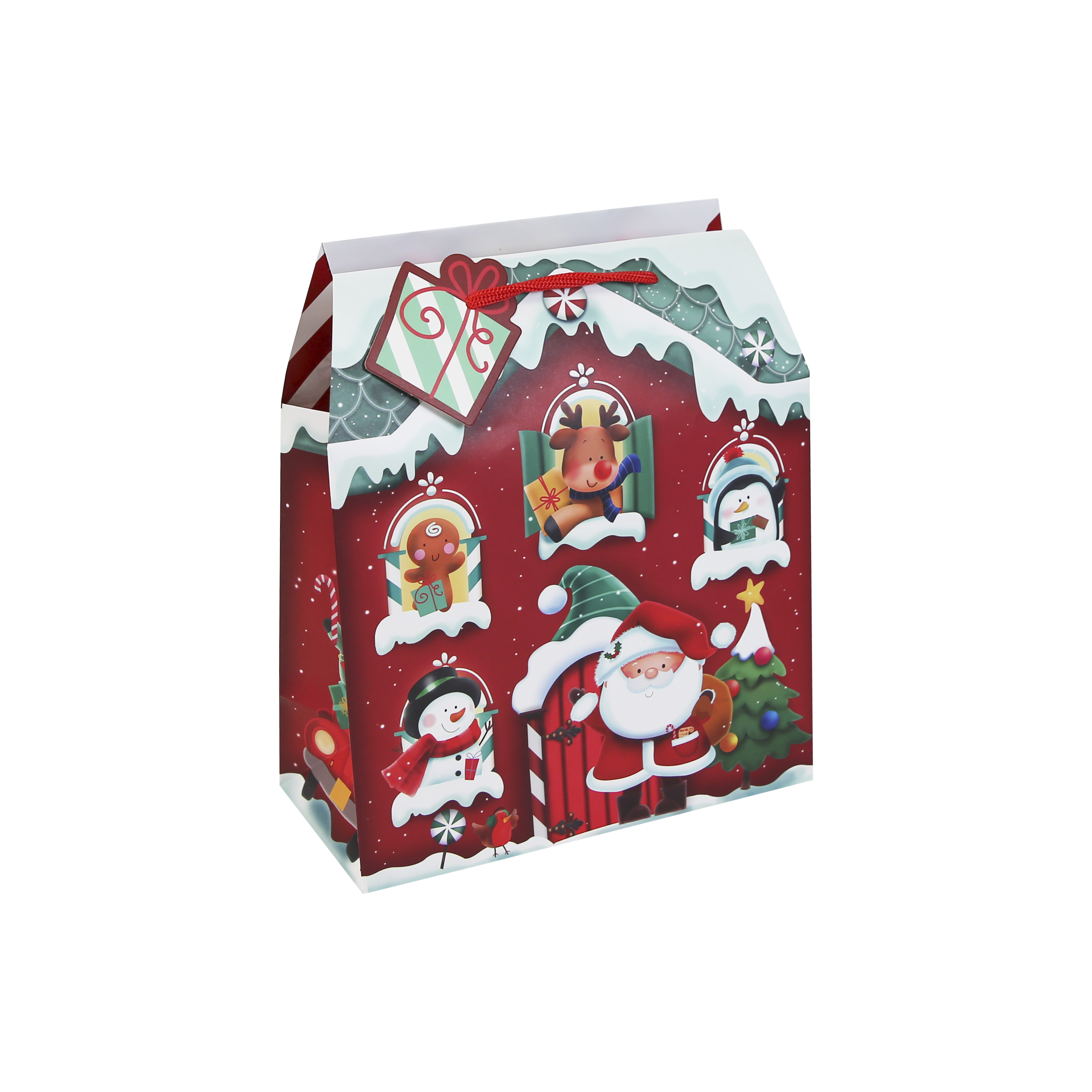 Eurowrap 12 Pack Gift Bag Santa's Grotto Medium