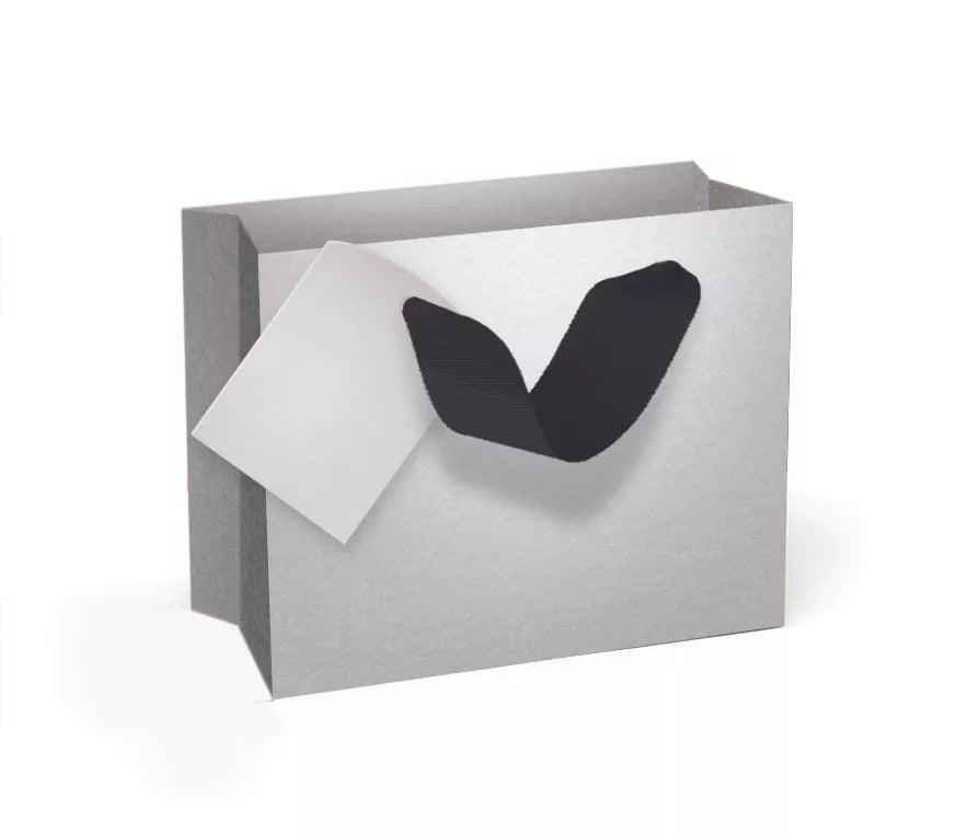 Simon Elvin Gift Bag Silver Extra Small 6pk