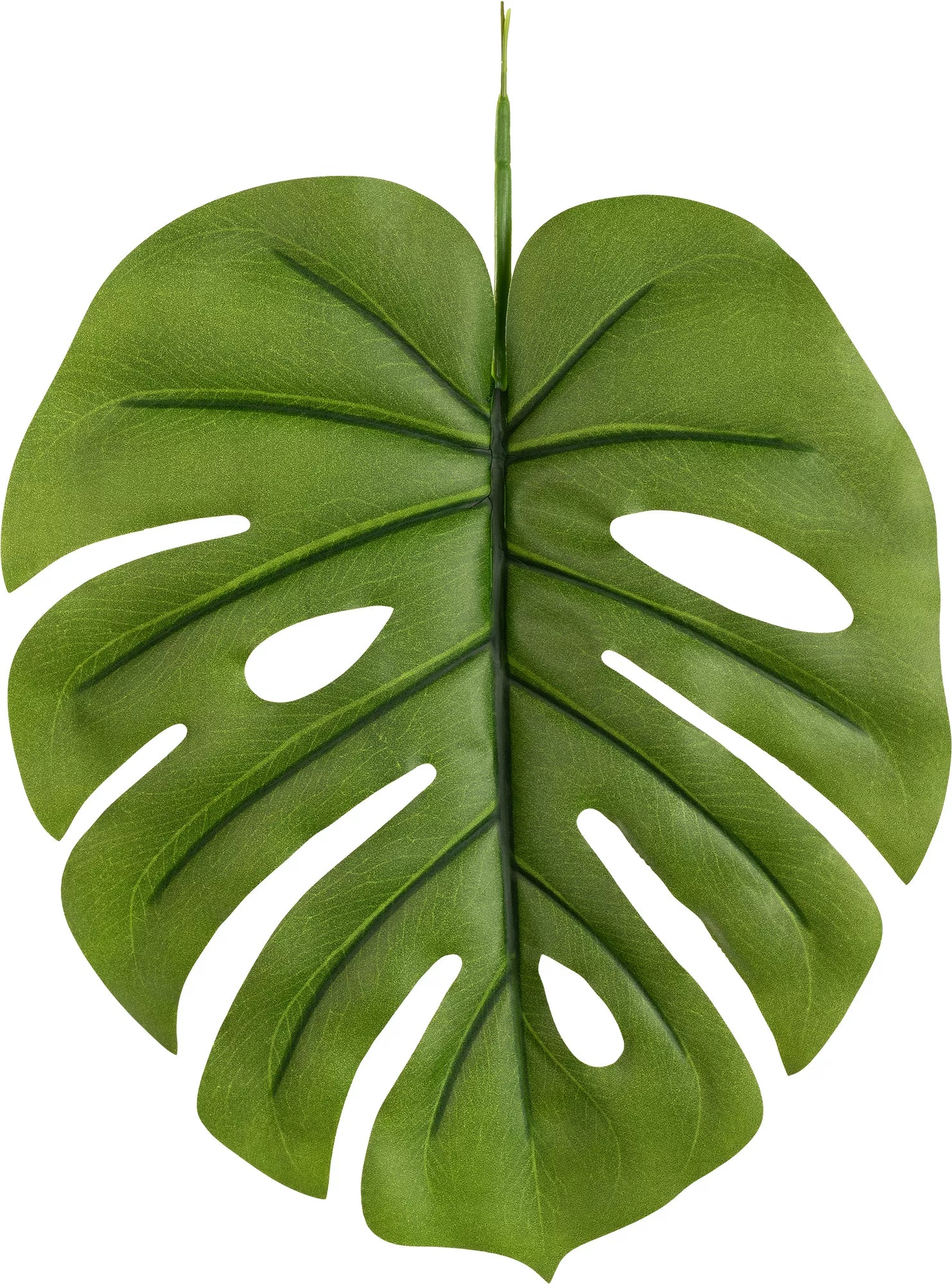 Eleganza Single Tarovine Leaf Green 19
