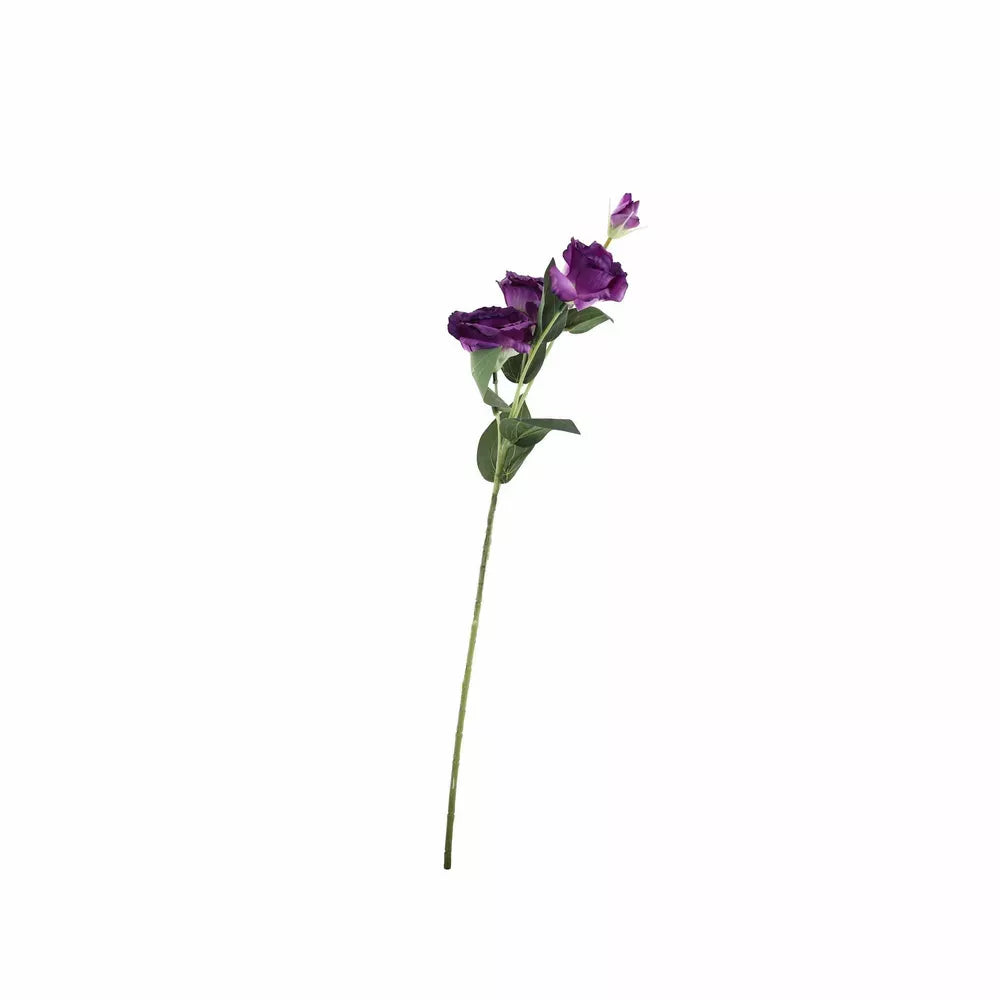 Lisianthus Purple