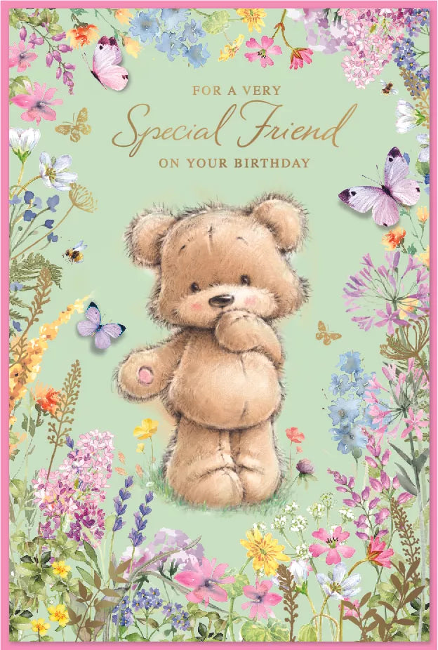 Simon Elvin C75 Birthday Special Friend 6pk