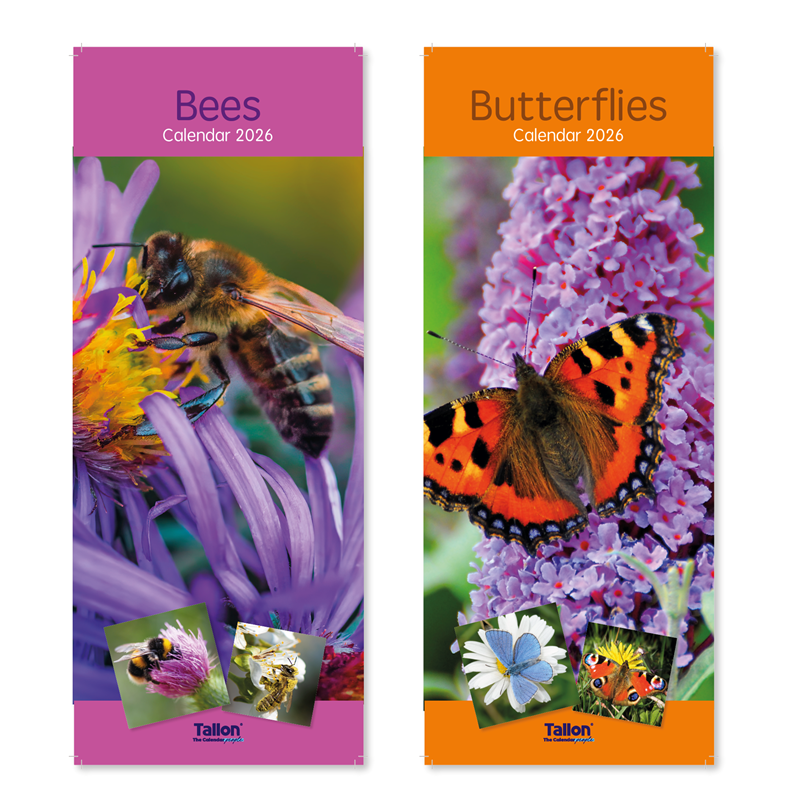 Calendar Super Slim Bees & Butterflies 2027 24pk