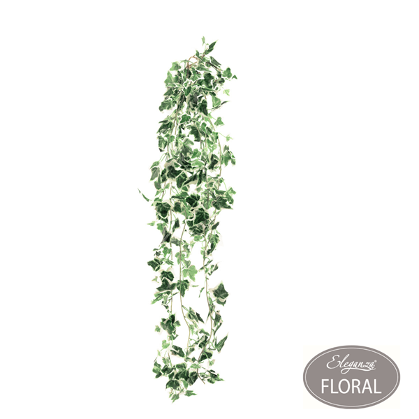 Eleganza Hanging Variegated Green Ivy Bush