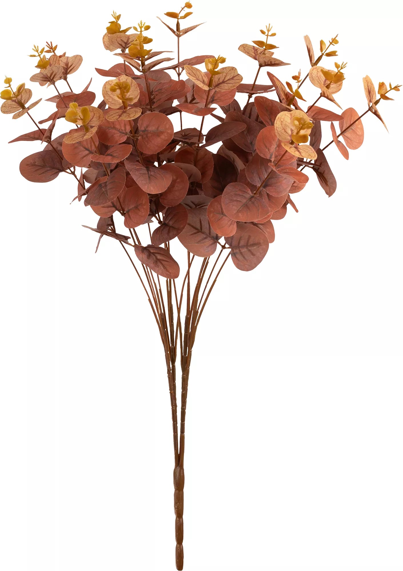 Eleganza Eucalyptus Bush Brown (16 Heads)
