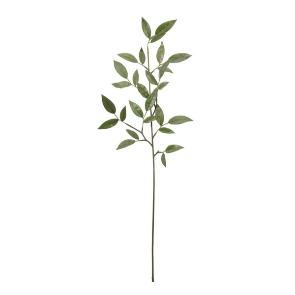 Ruscus Spray Leaves 74cm