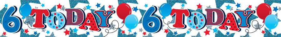 Age 6 Birthday Male Banner 2.6M 6pk