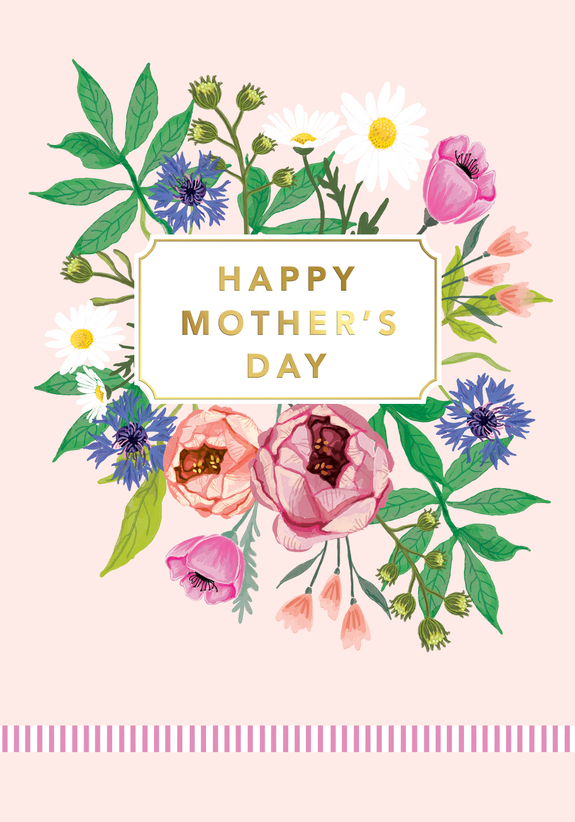Regal 6 Pack Cards C75 Mother's Day