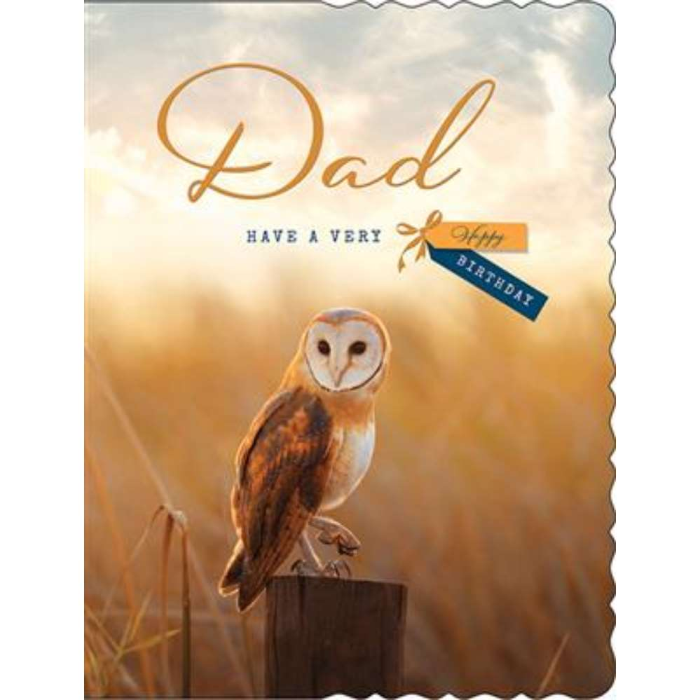 Regal 6 Pack Cards C50 Everyday Birthday Dad