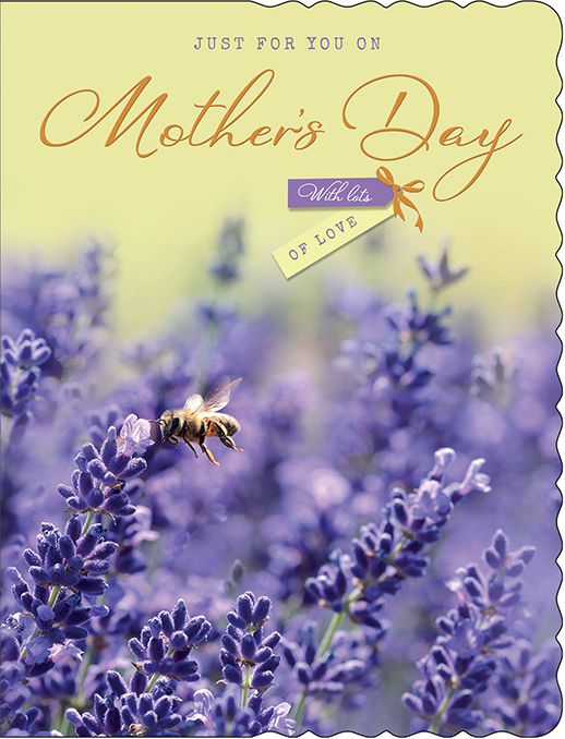 Regal 6 Pack Cards C50 Mother's Day